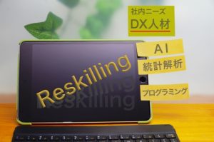 DX推進スキルの見える化によって日本企業のDXが加速する？経産省(IPA)公表の「DX推進スキル標準」とは何か？